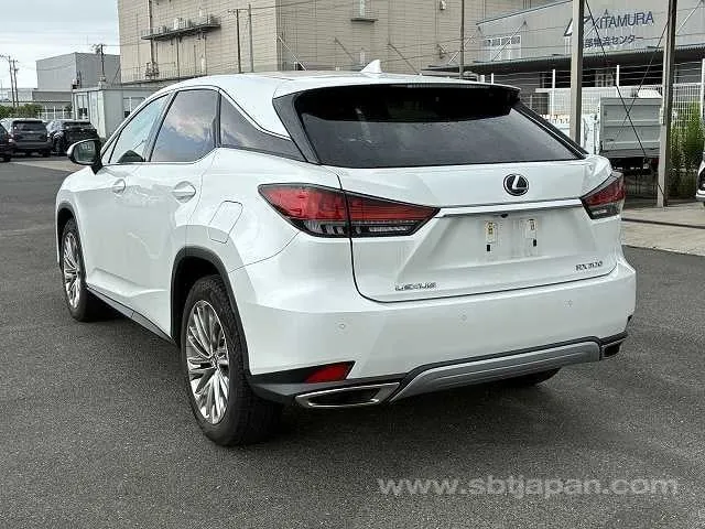 Lexus Rx300 2020 photo 3