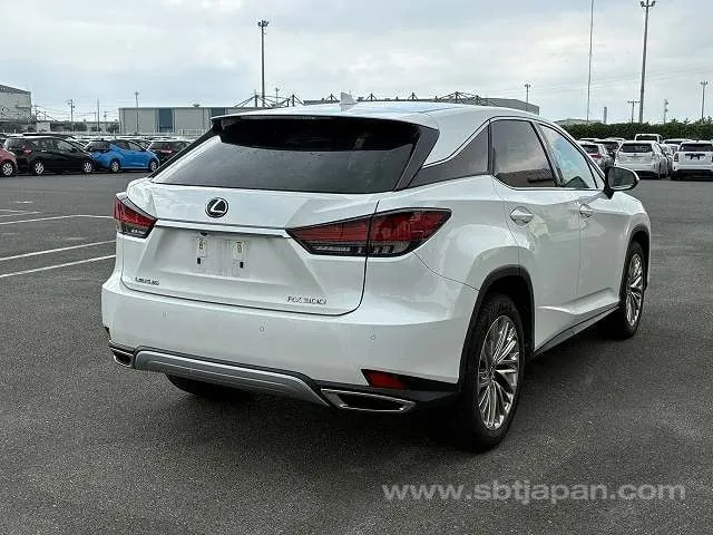 Lexus Rx300 2020 photo 4