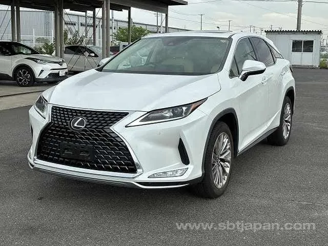Lexus Rx300 2020 photo 2
