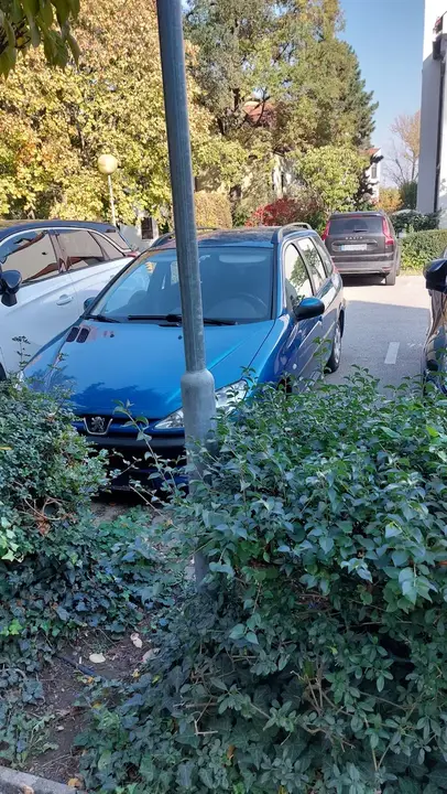 Peugeot 206 2004 photo 2