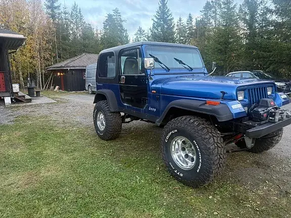 Jeep Wrangler 1994 photo 3