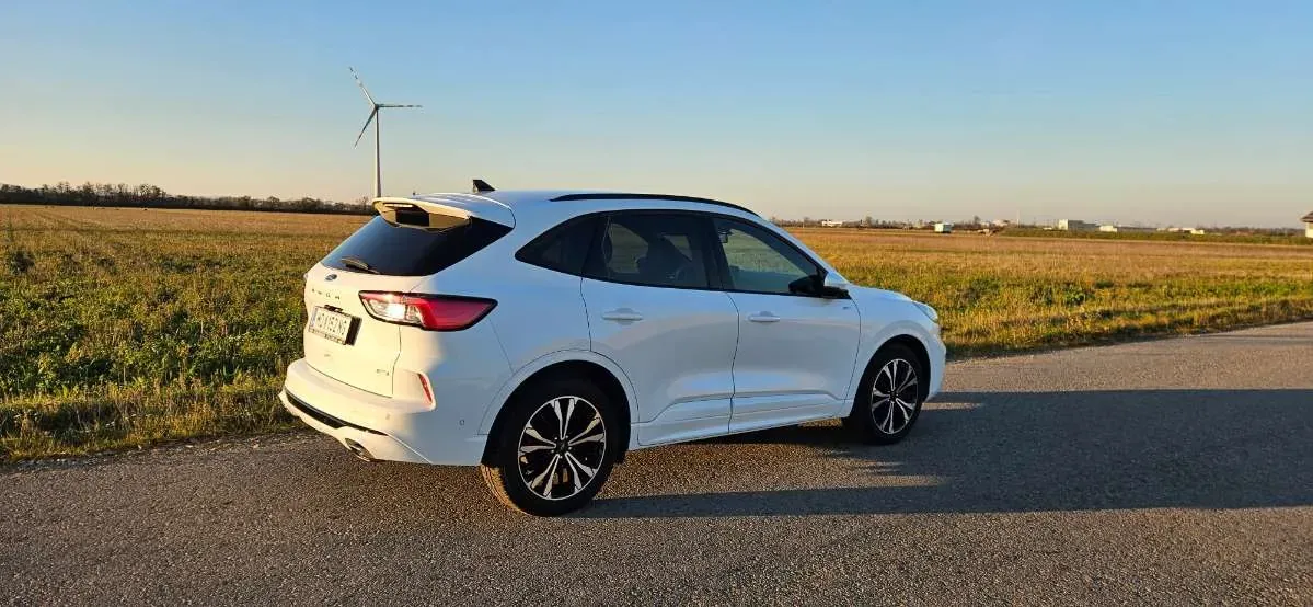 Ford Kuga 2020 photo 2