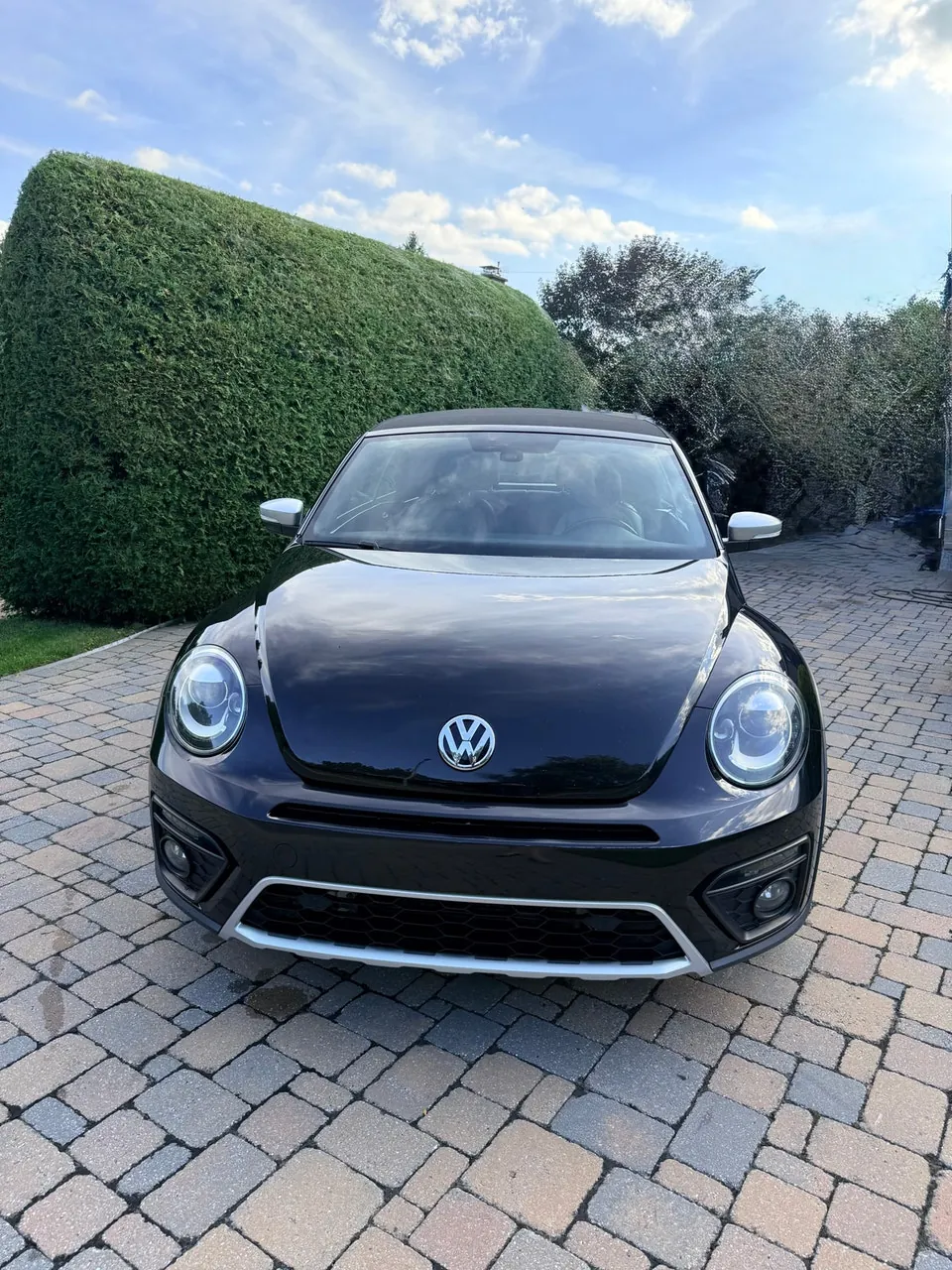 Volkswagen Beetle 2019 photo 3