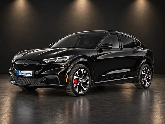 Ford Mustang Mach-E 2022 photo 3