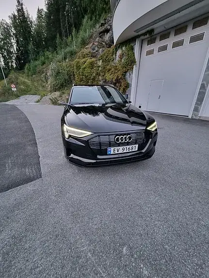 Audi E-Tron 2020 photo 4