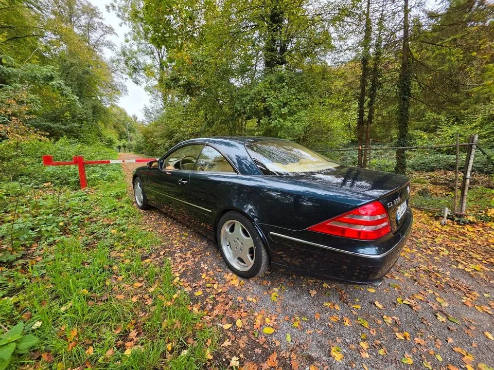 Mercedes-Benz Cl 500