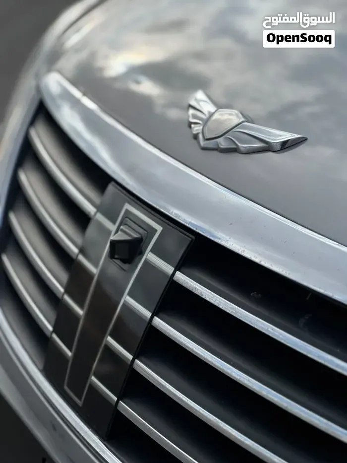 Genesis Sonata 2010 photo 2