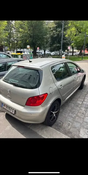 Peugeot 307 2006 photo 3