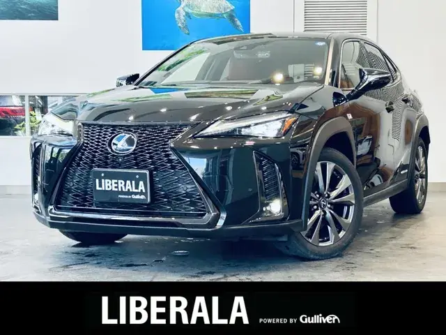 Lexus Ux 250H