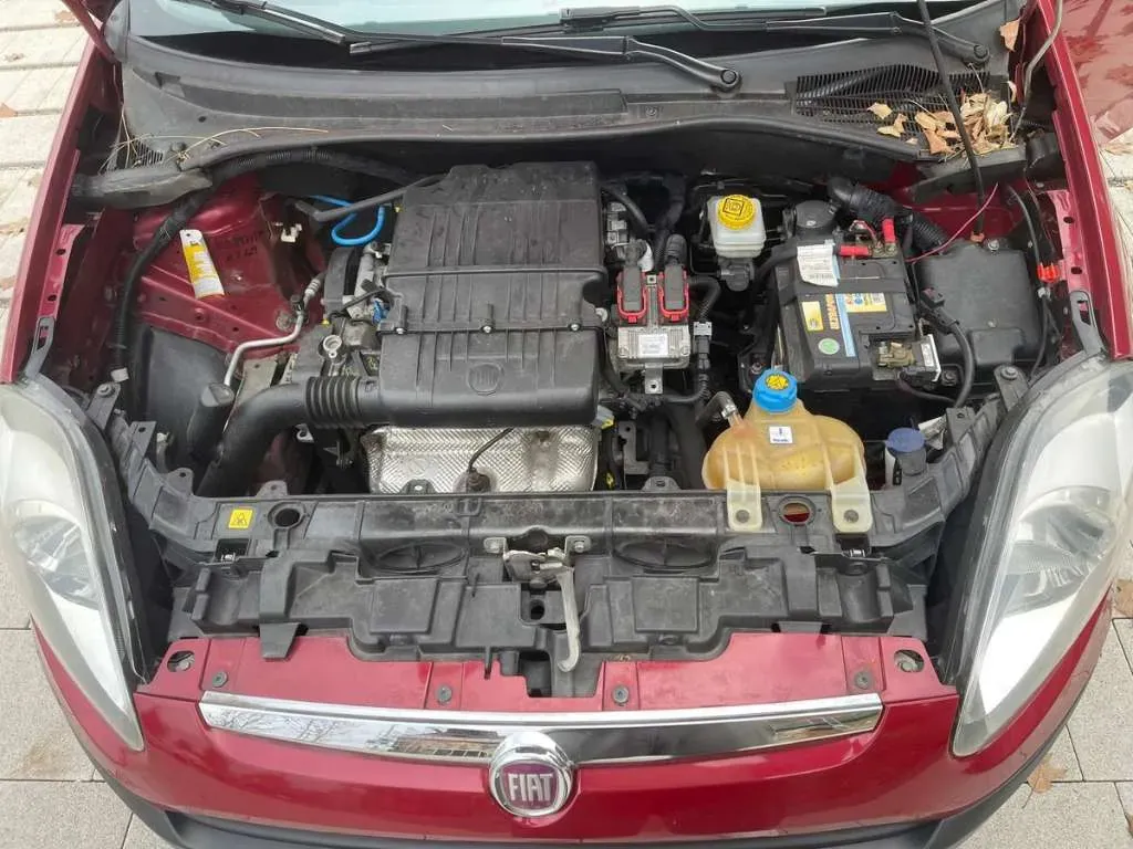 Fiat Punto 2010 photo 3