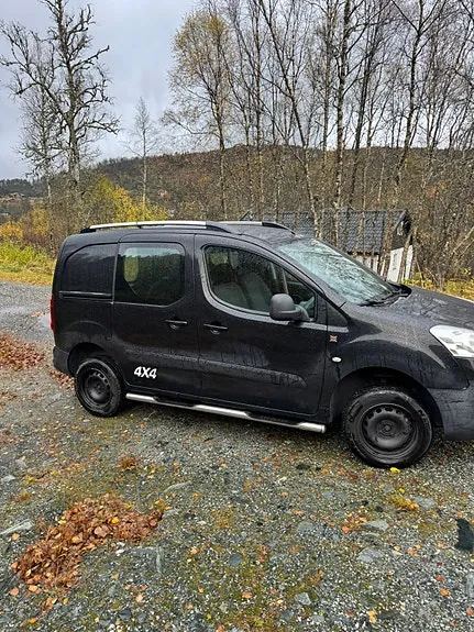 Peugeot Partner 2014 photo 3