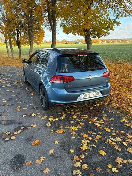 Volkswagen Golf Vii 2014 photo 2
