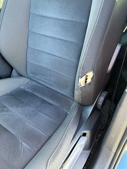 Volkswagen Golf Vii 2014 photo 4