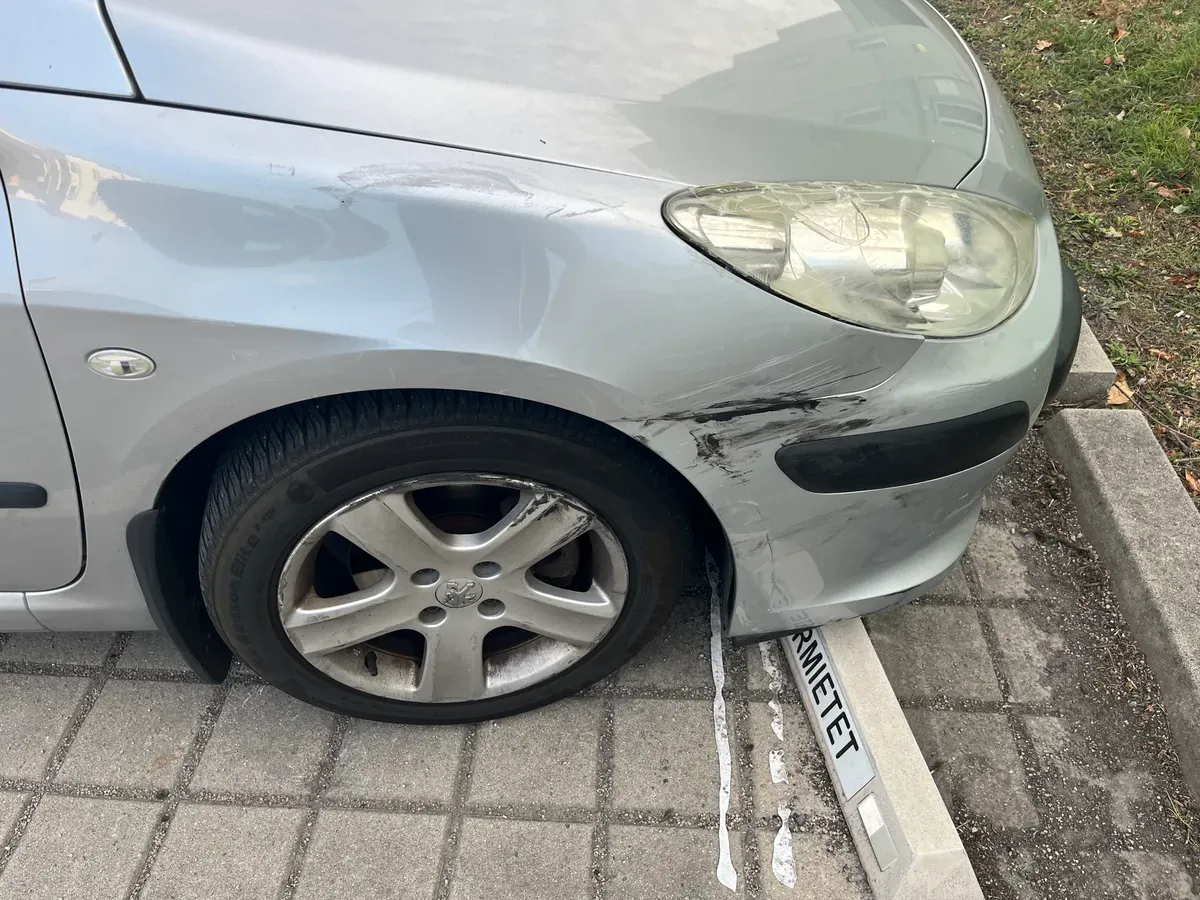 Peugeot 307 2006 photo 2