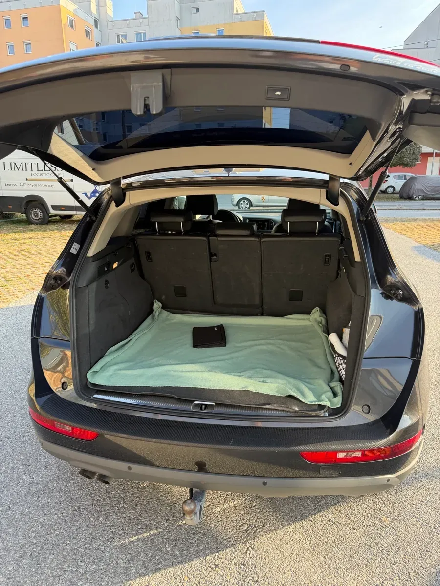 Audi Q5 2009 photo 3