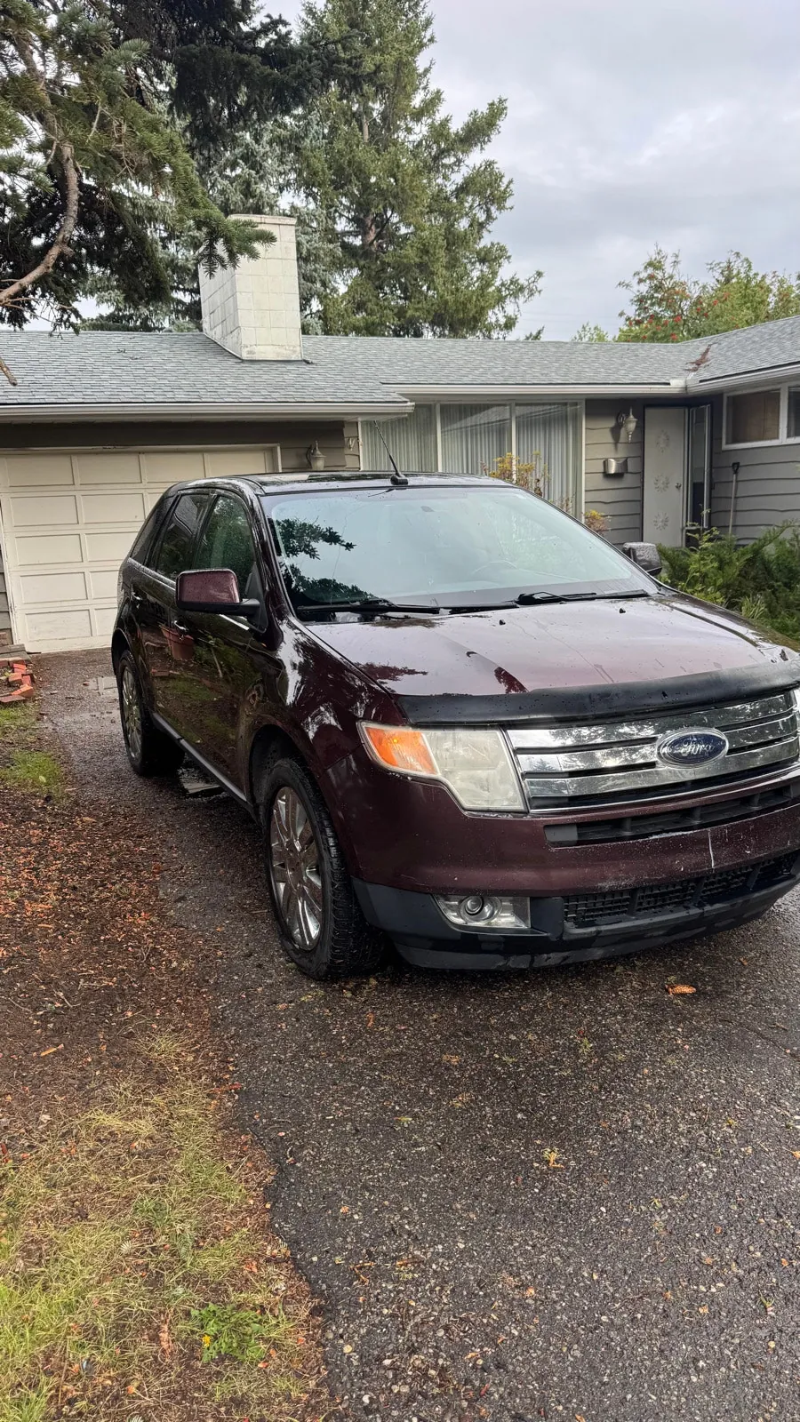 Ford Edge 2010 photo 2