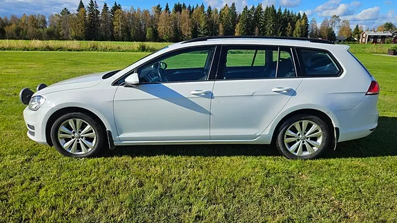 Volkswagen Golf Vii 2017 photo 3