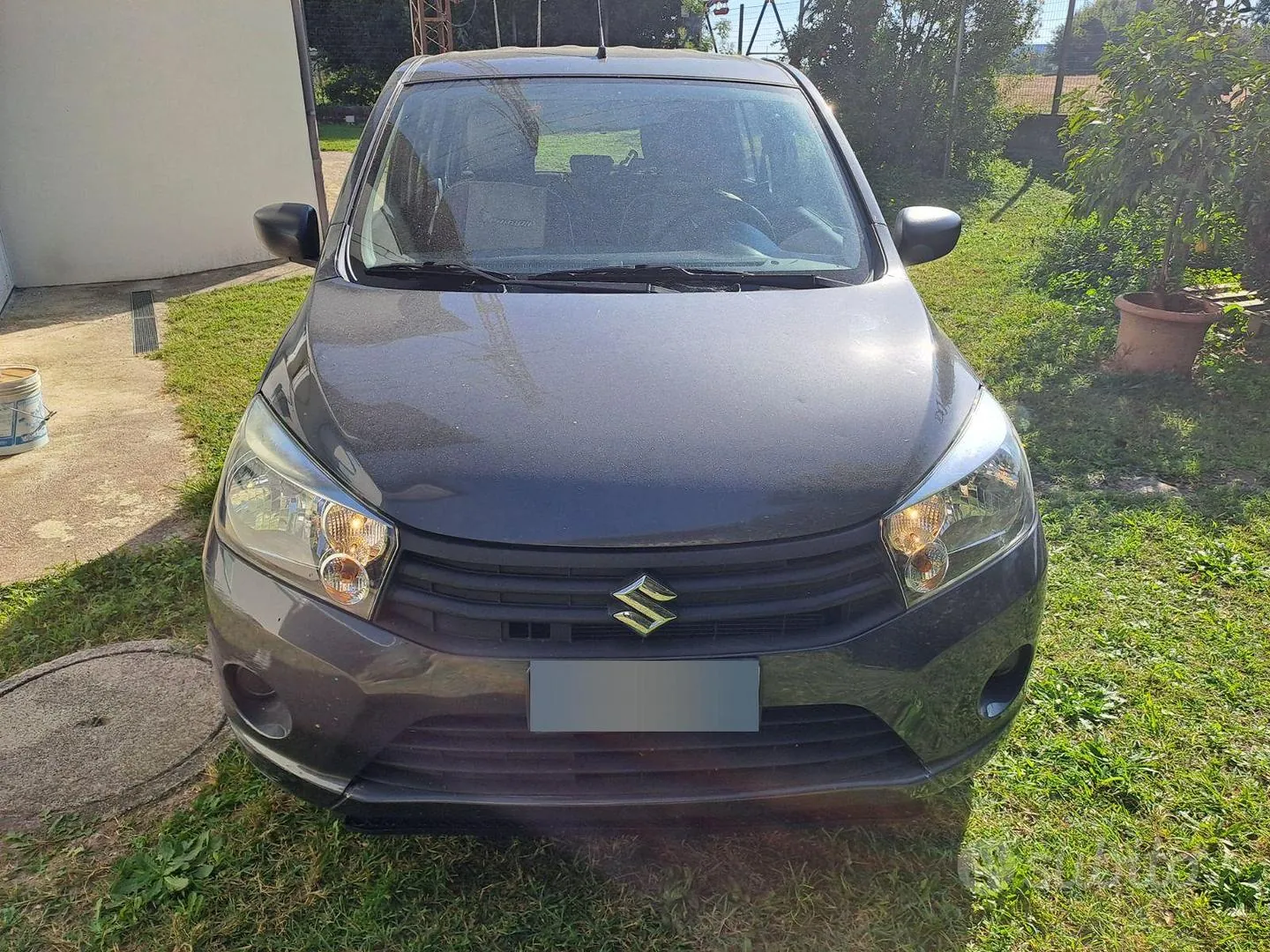 Suzuki Celerio 2016 photo 2