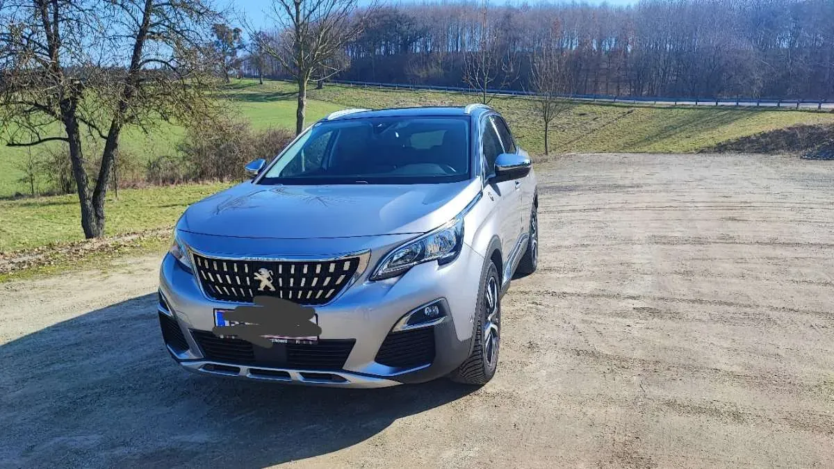 Peugeot 3008 2019 photo 2