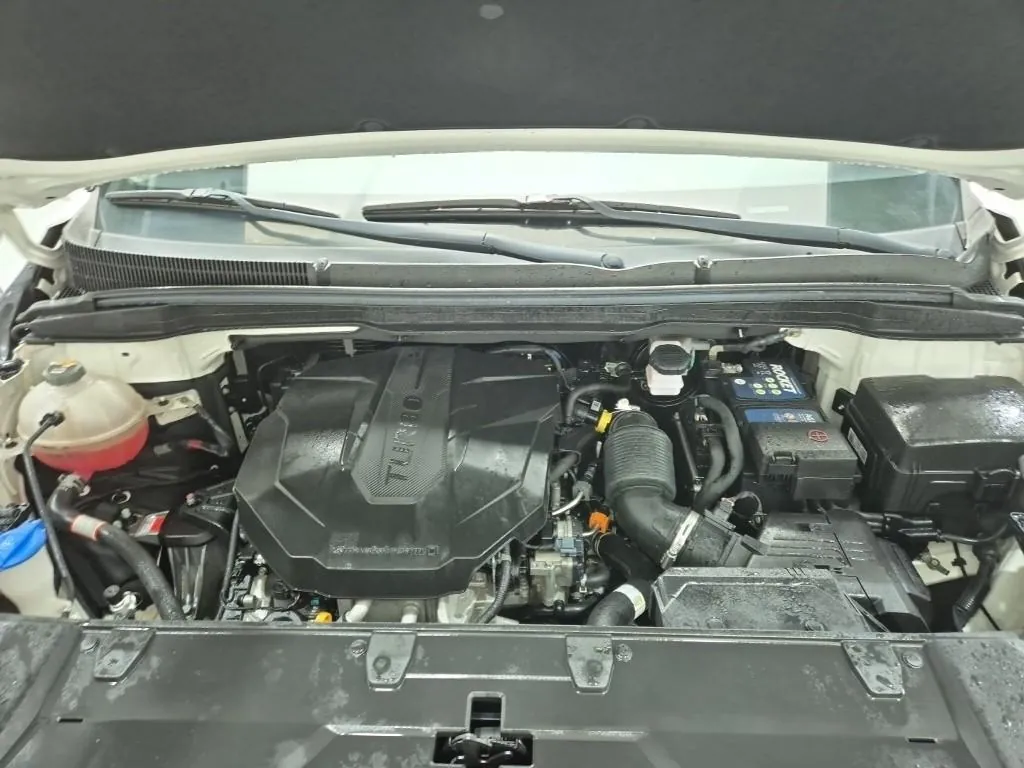 Kia Carnival 2021 photo 5
