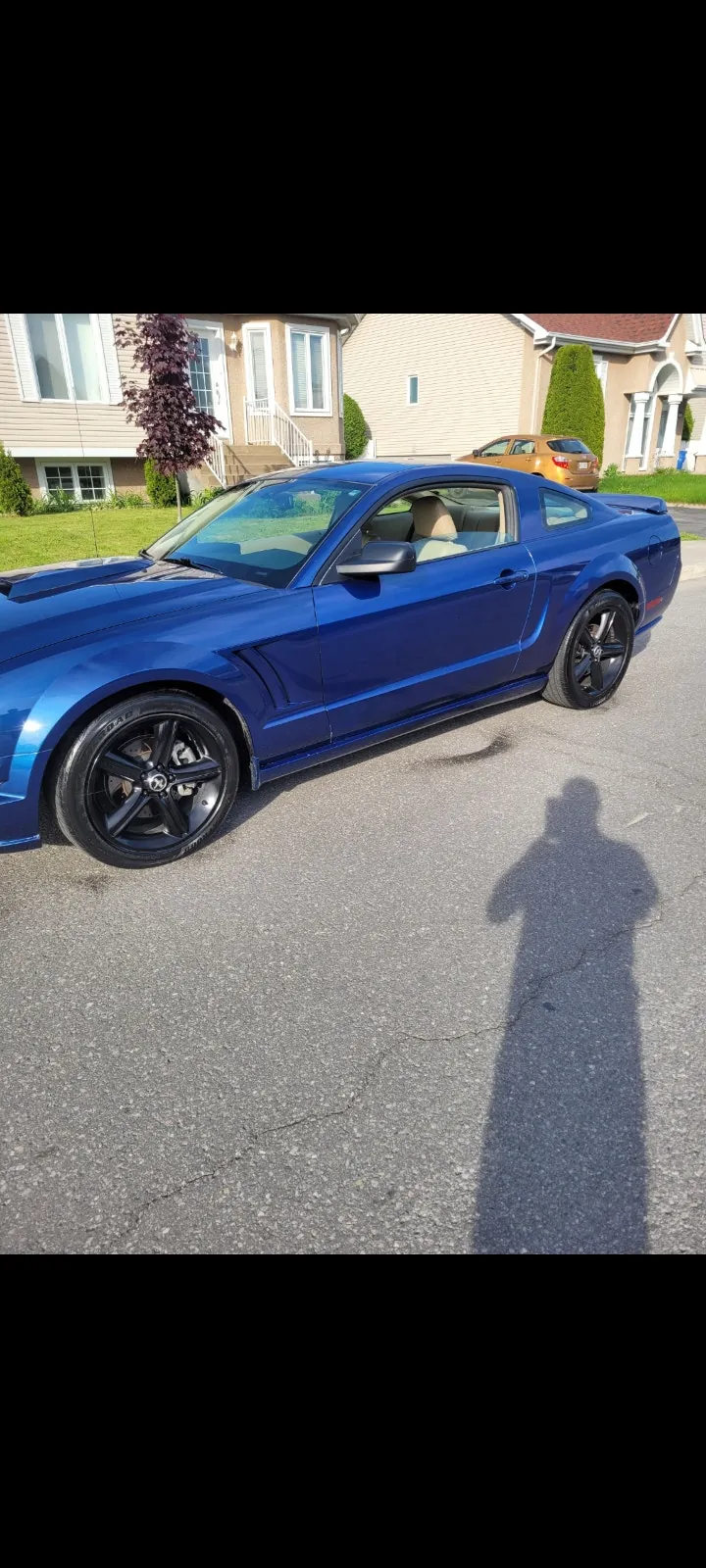 Ford Mustang 2007 photo 2