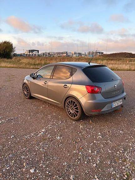 Seat Ibiza 2013 photo 4