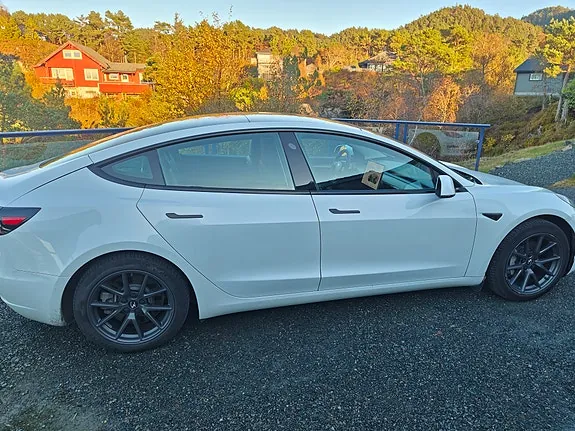 Tesla Model 3 2021 photo 3