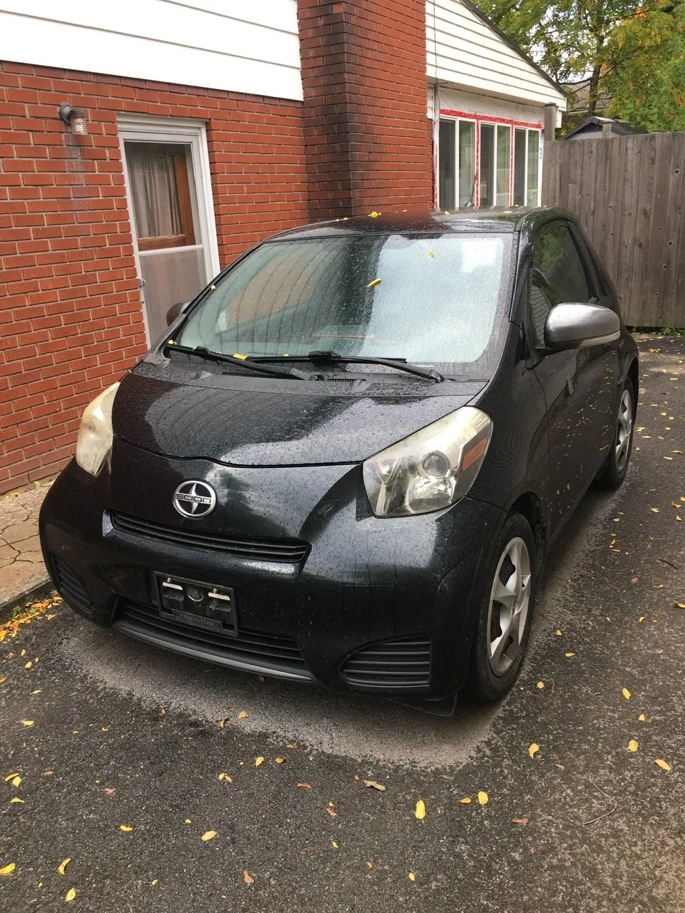 Scion Iq