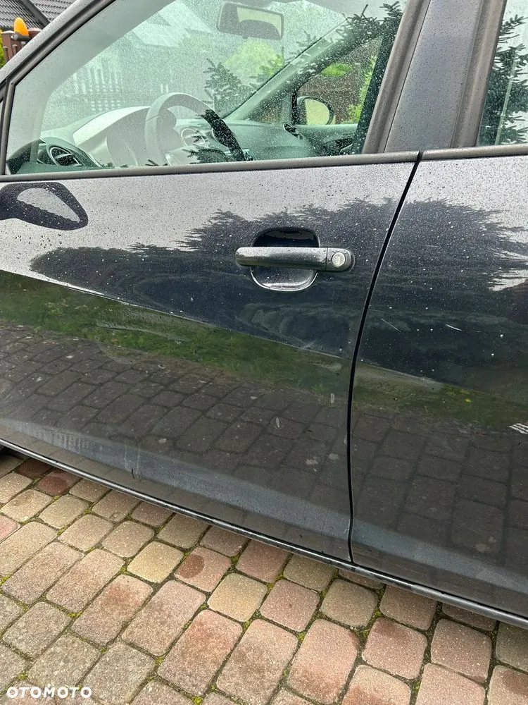 Seat Ibiza 2010 photo 4