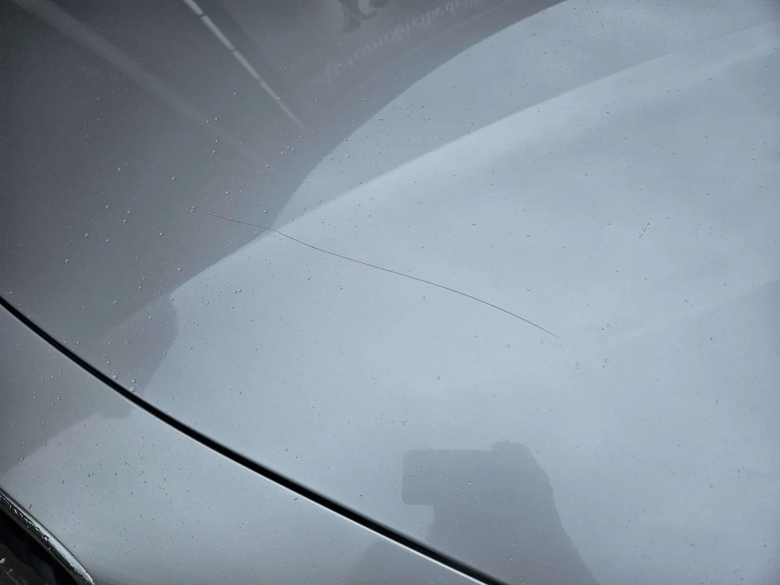 BMW 316 2012 photo 3