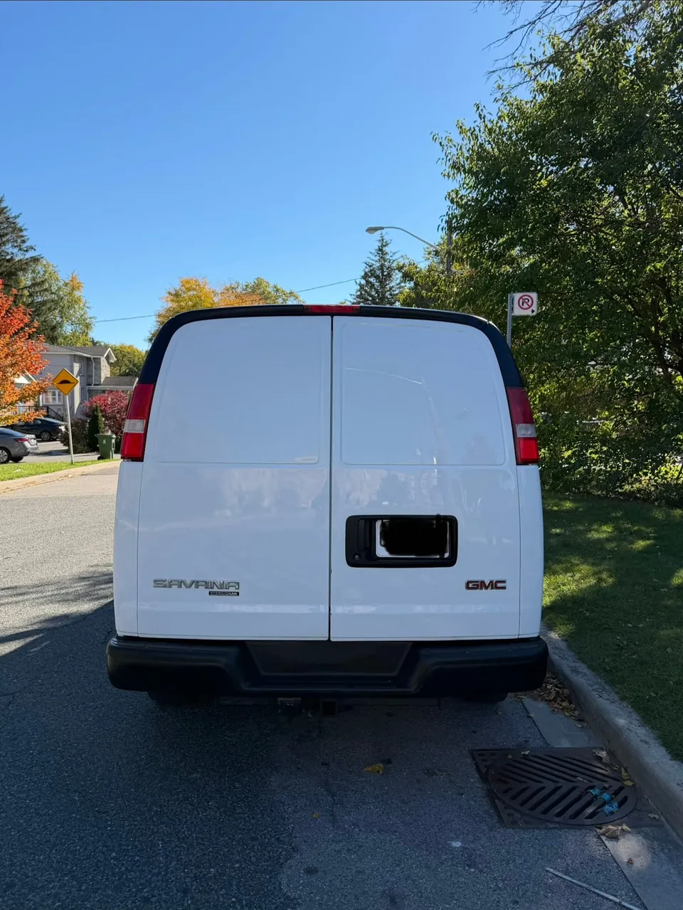 GMC Savana 2017 photo 2