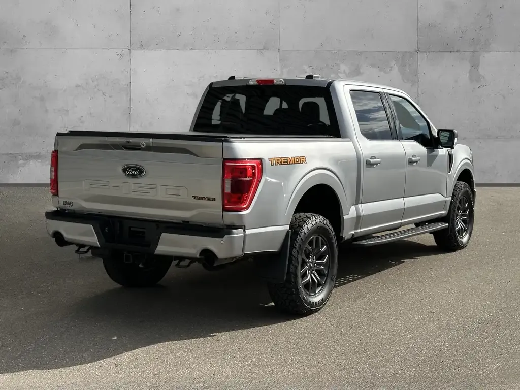 Ford F-150 2023 photo 5