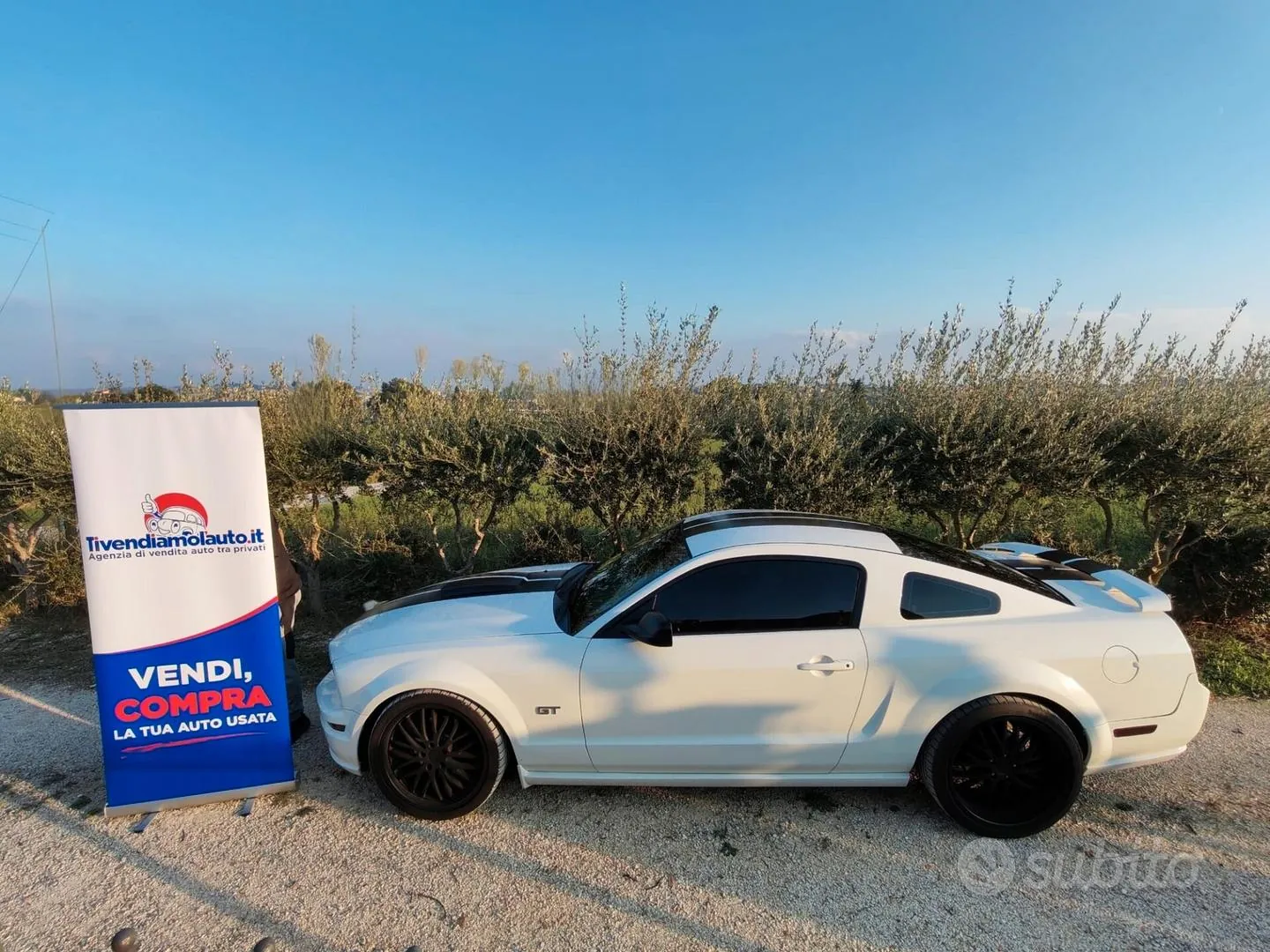 Ford Mustang 2008 photo 2
