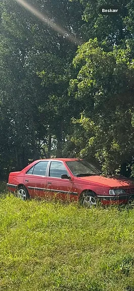Peugeot 405