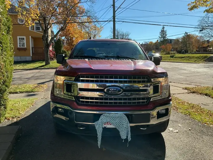 Ford F-150 2019 photo 4