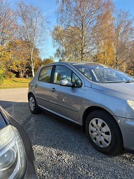 Peugeot 307 2004 photo 2
