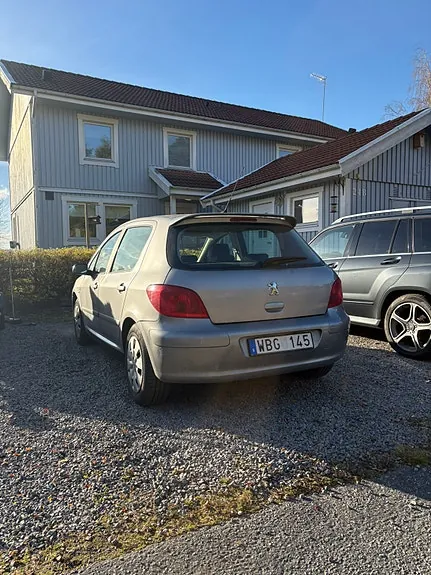Peugeot 307 2004 photo 4