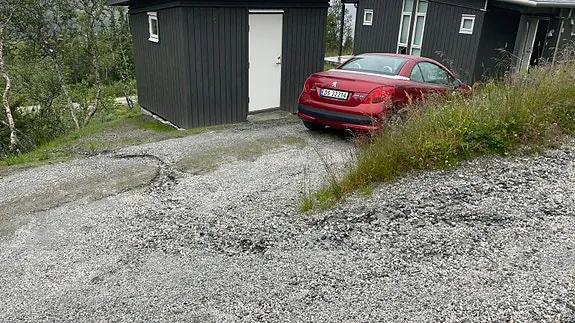 Peugeot 207 2007 photo 2