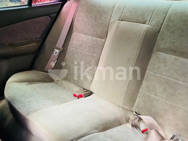 Nissan Sunny 2000 photo 3