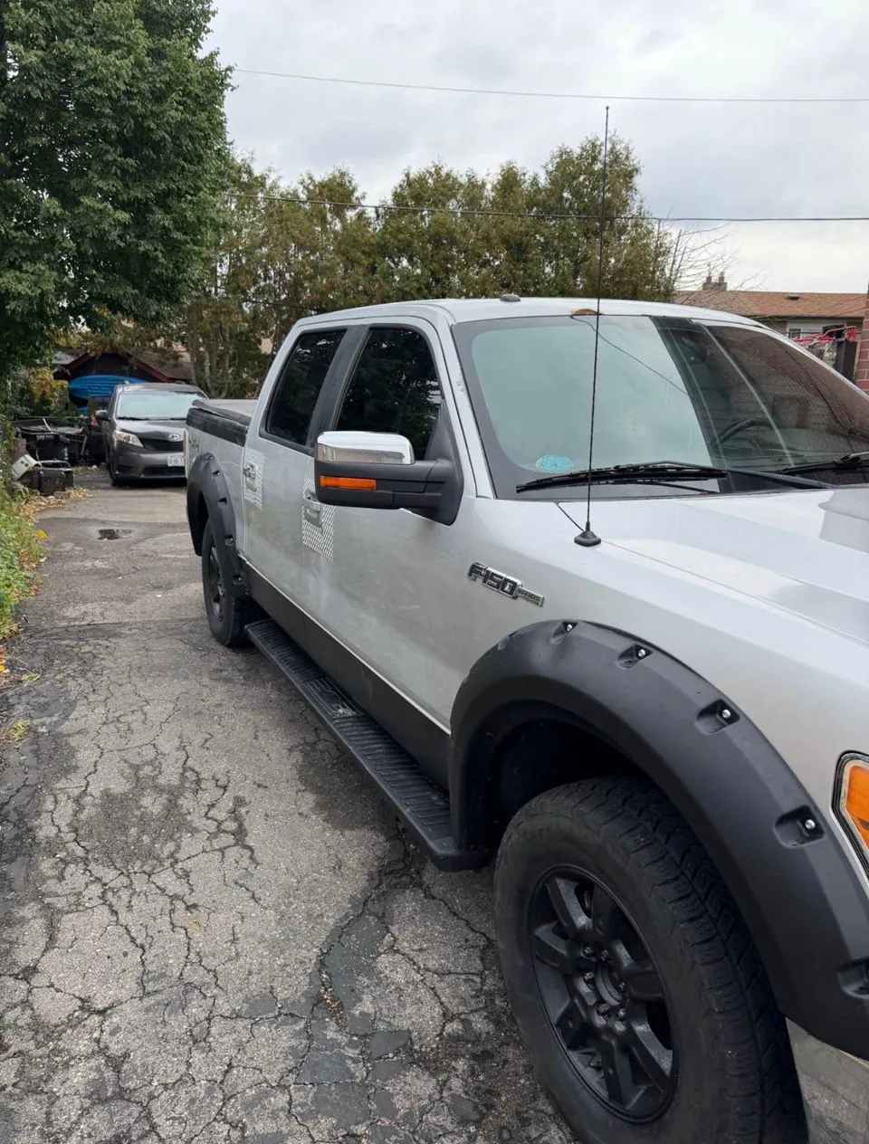 Ford F-150 2011 photo 3