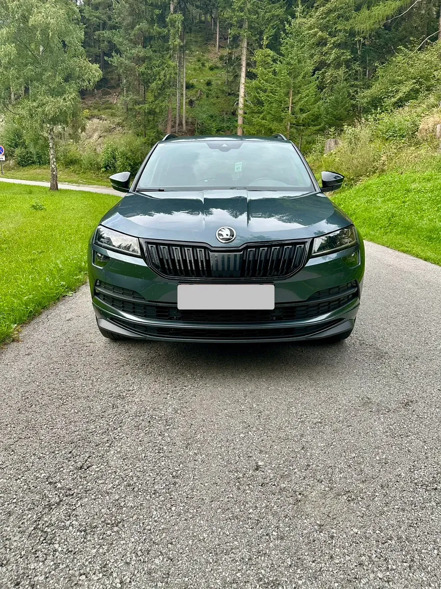 Skoda Karoq 2019 photo 2
