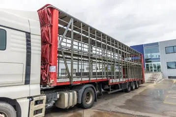 Lecitrailer Cuello Cisne 3E-Rd+Double Etage+Dhollandia 2Ton