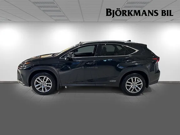 Lexus Nx300H 2020 photo 4
