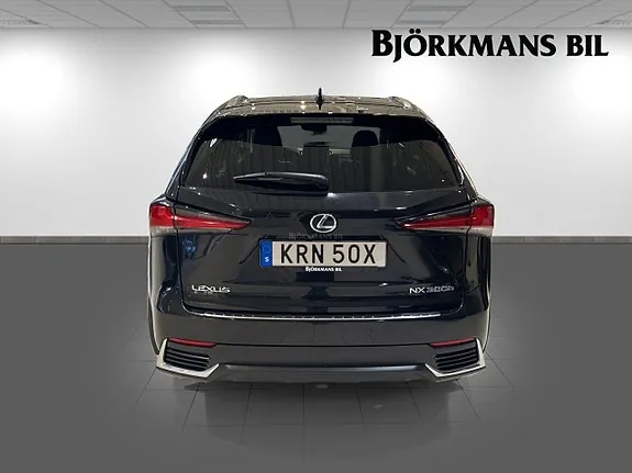 Lexus Nx300H 2020 photo 5