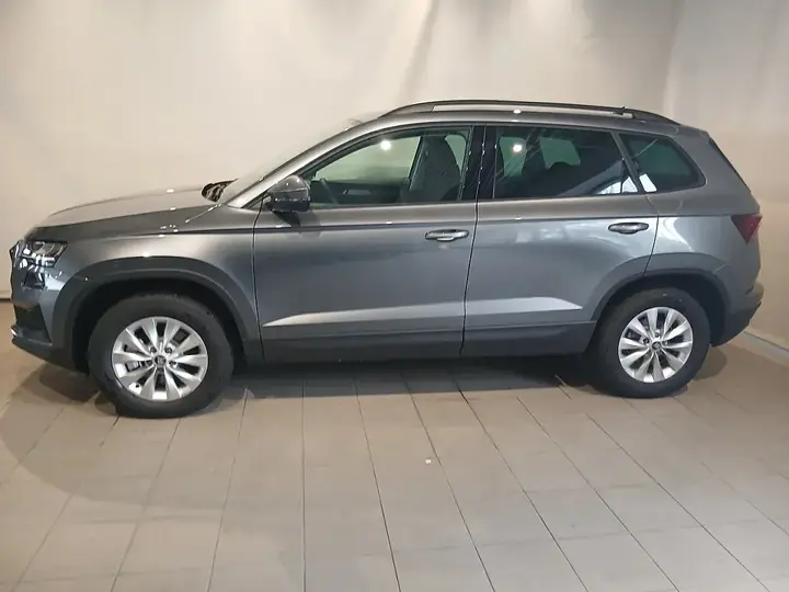 Skoda Karoq 2026 photo 2