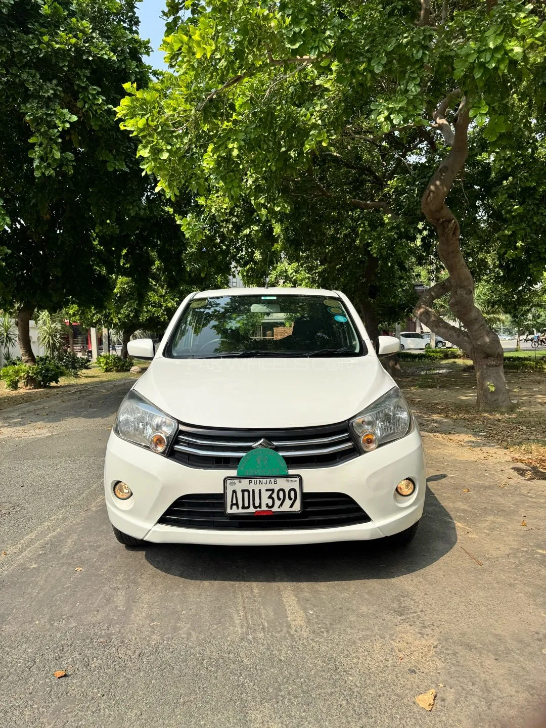 Suzuki Cultus