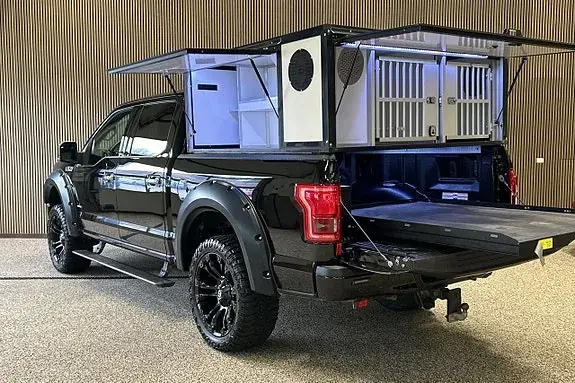 Ford F-150 2016 photo 3