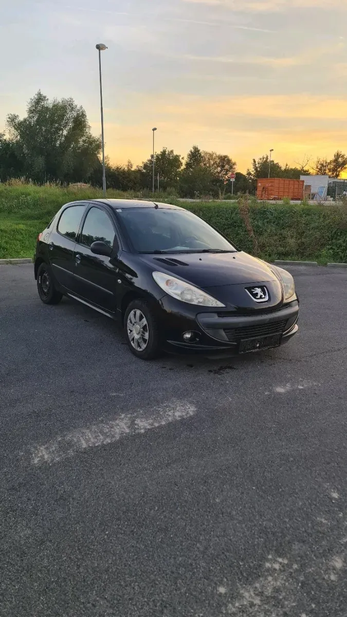 Peugeot 206 2011 photo 2