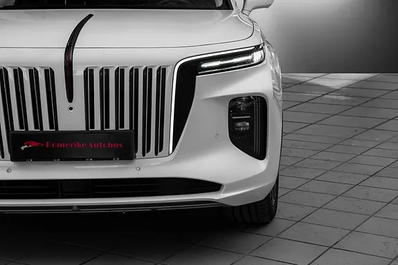 Hongqi E-Hs9 2022 photo 4