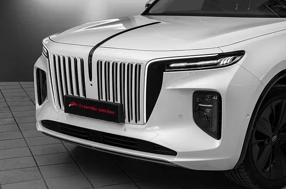 Hongqi E-Hs9 2022 photo 2